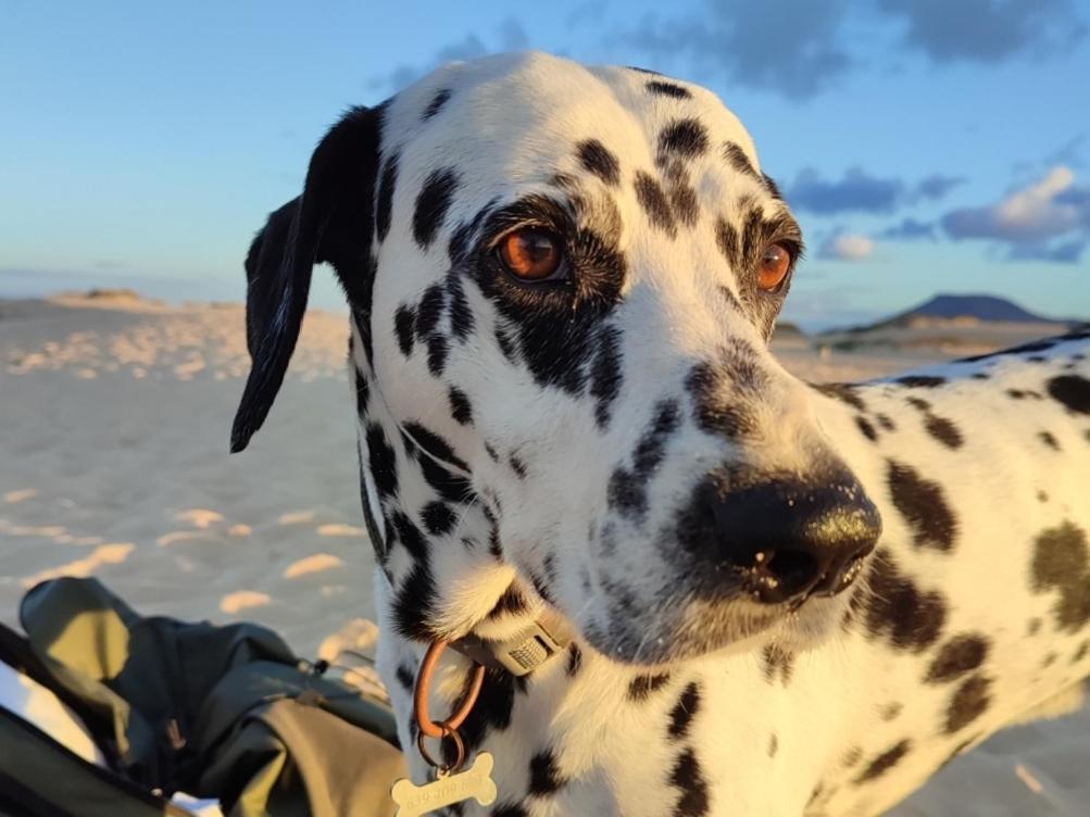 Fuerteventura Casa Tikuna La Oliva Buitenkant foto